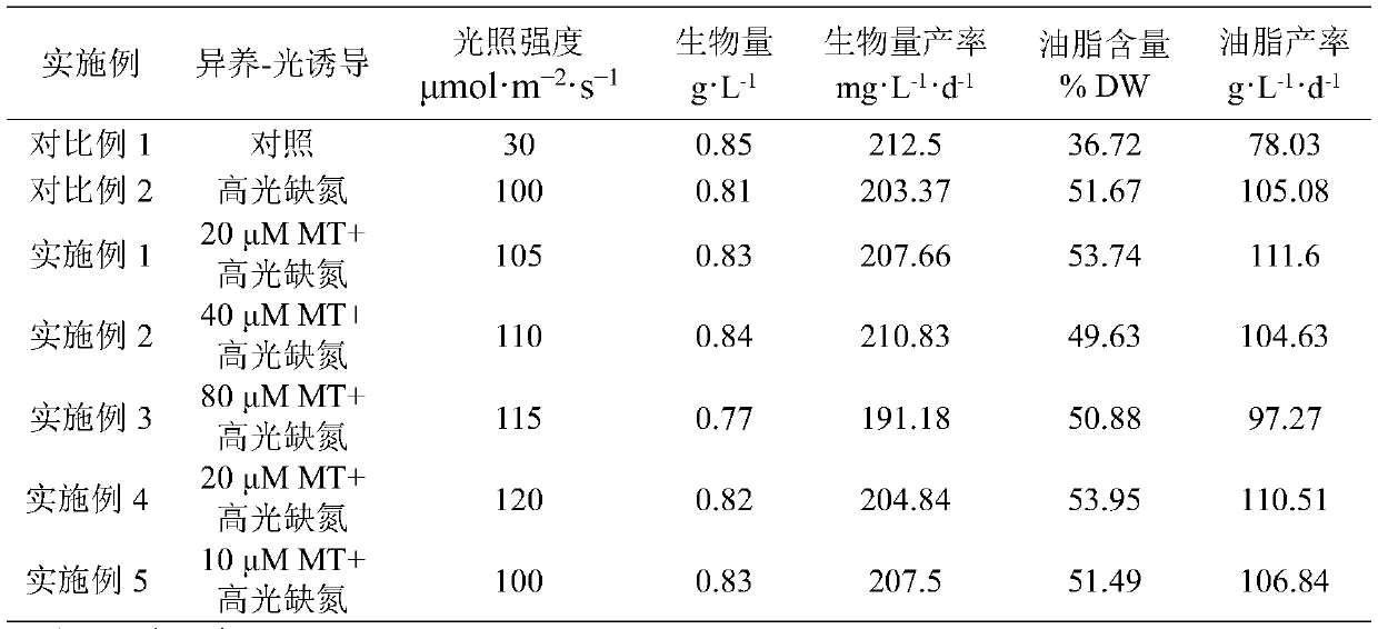 Method for promoting accumulation of microalgae oil under high-light and nitrogen-deficiency stress by using melatonin