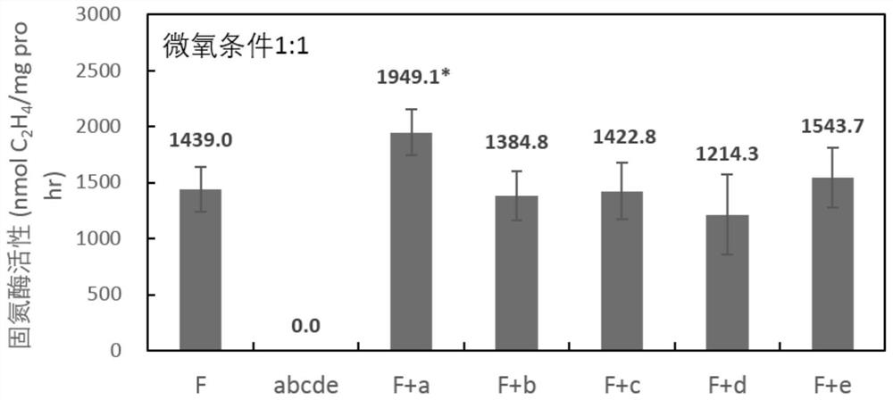 A kind of maize endophytic Acinetobacter aczly512 and its application