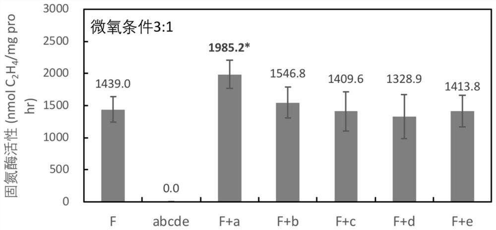 A kind of maize endophytic Acinetobacter aczly512 and its application