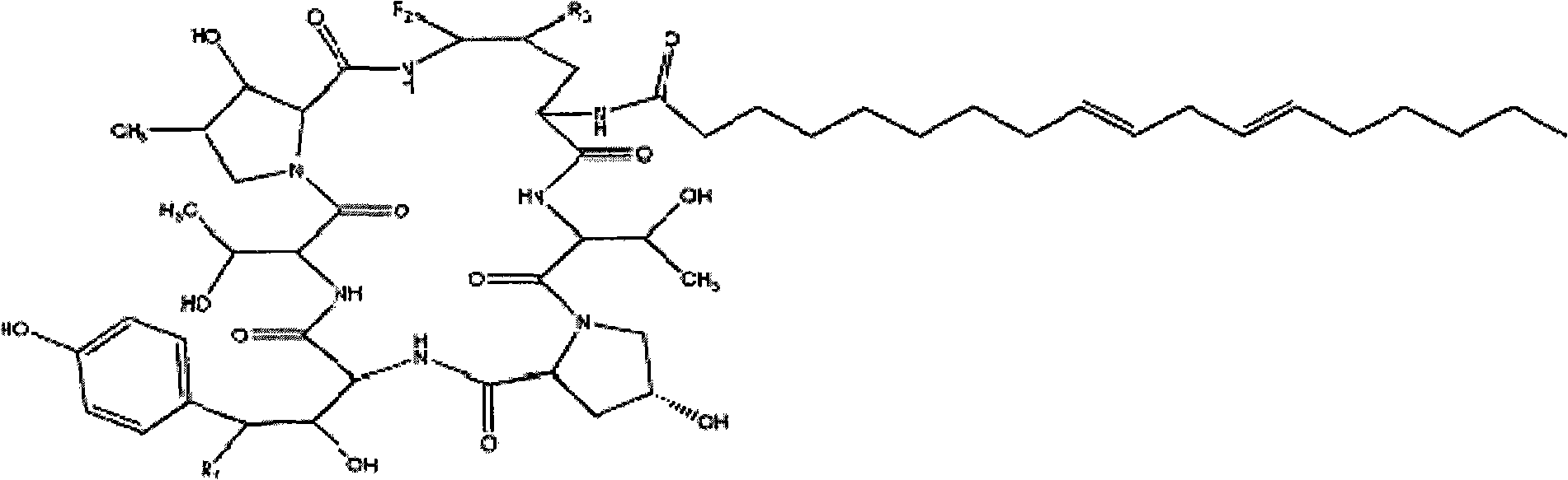 Method for obtaining high purity echinocandin D