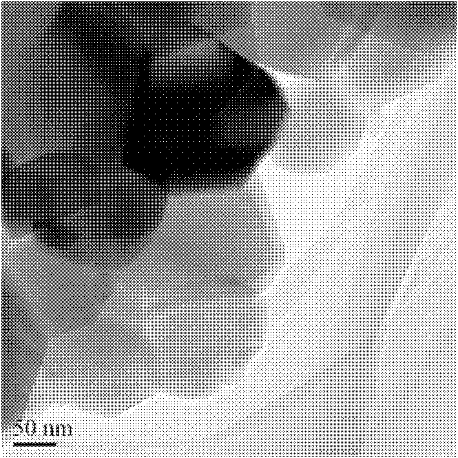 Preparation method of CuAlO2 monocrystal