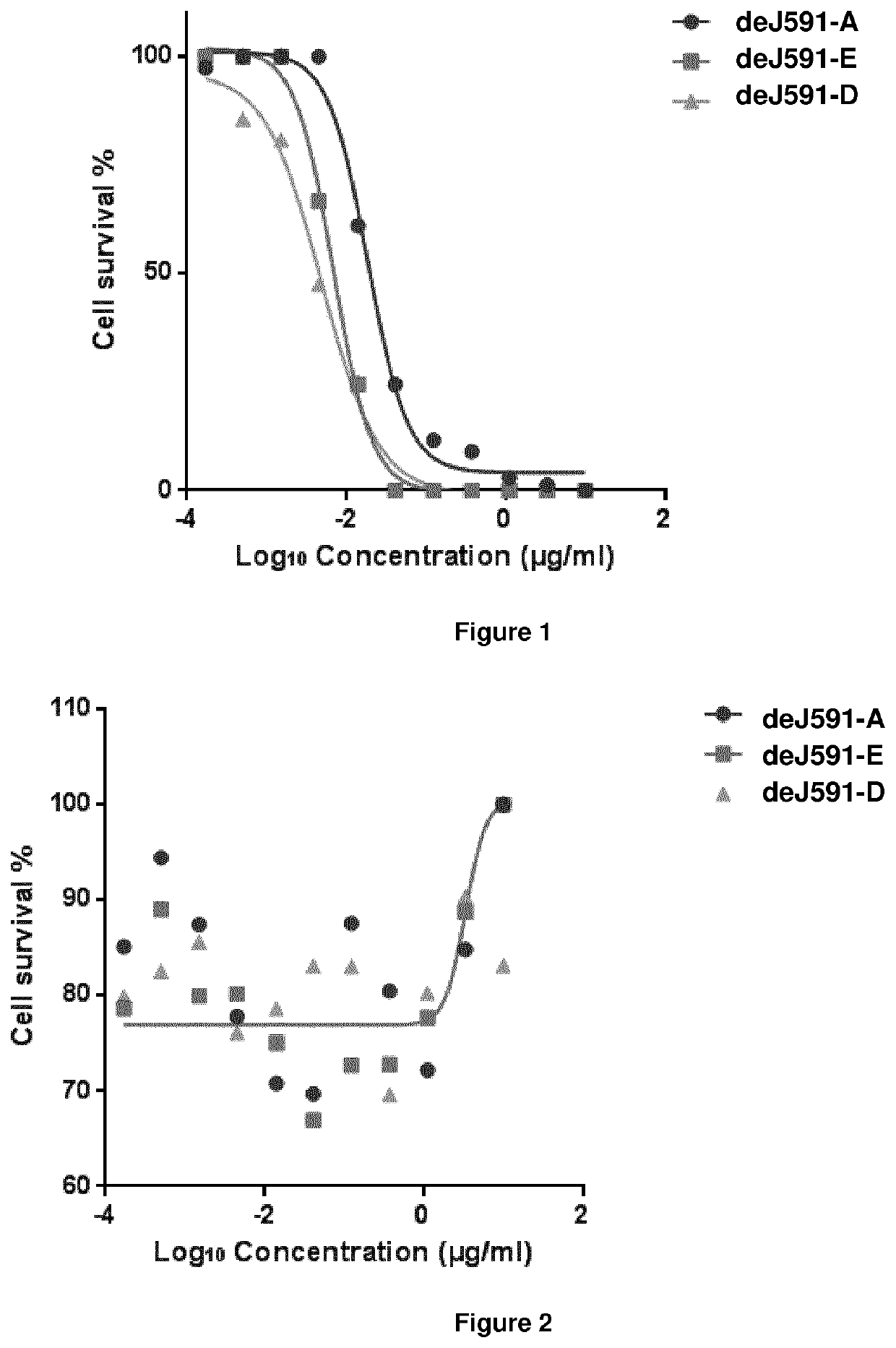 Pyrrolobenzodiazepine—anti-PSMA antibody conjugates