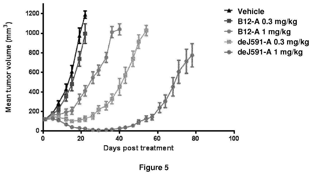 Pyrrolobenzodiazepine—anti-PSMA antibody conjugates