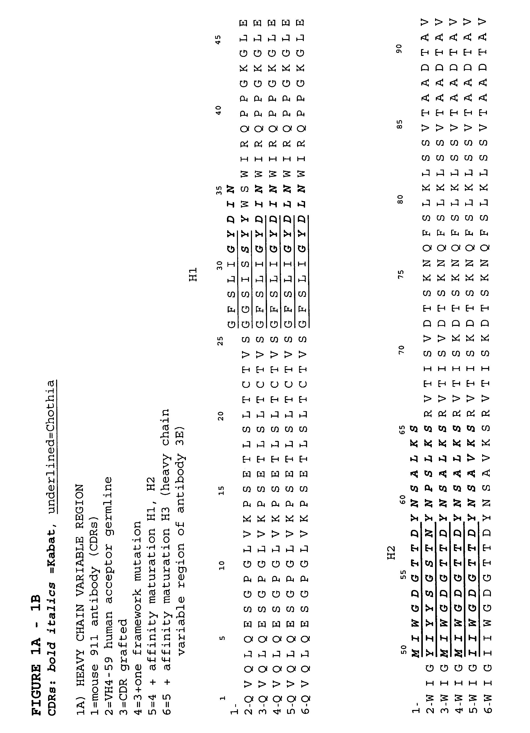 Anti-NGF antibodies and methods using same