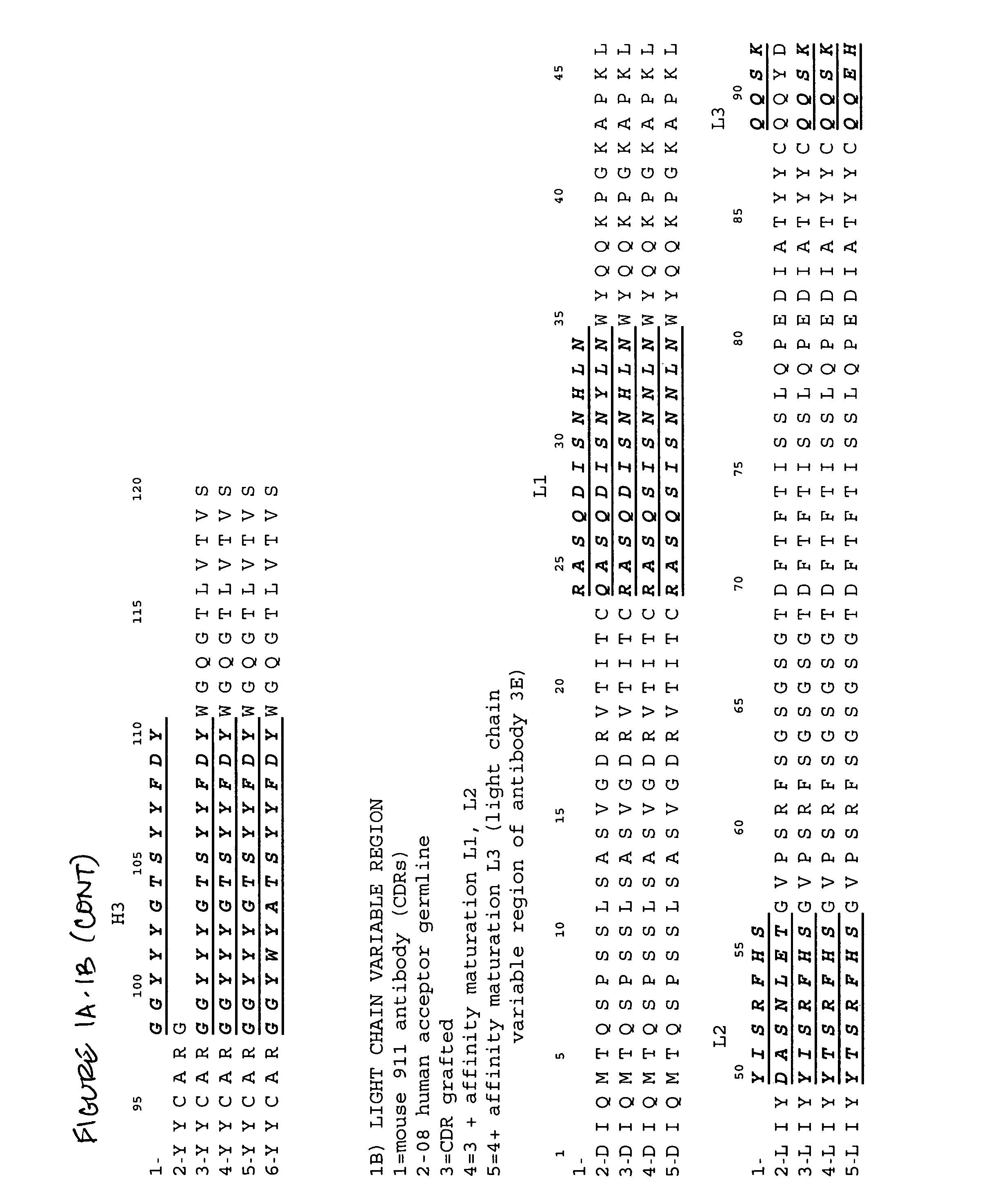 Anti-NGF antibodies and methods using same