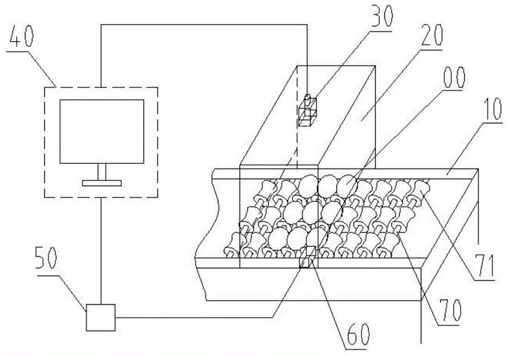 Visual detection and grading device and method for the appearance and size of duck eggs in the colony of origin