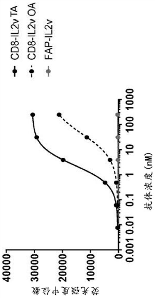 Immunoconjugates comprising mutant interleukin-2 and an anti-CD8 antibody