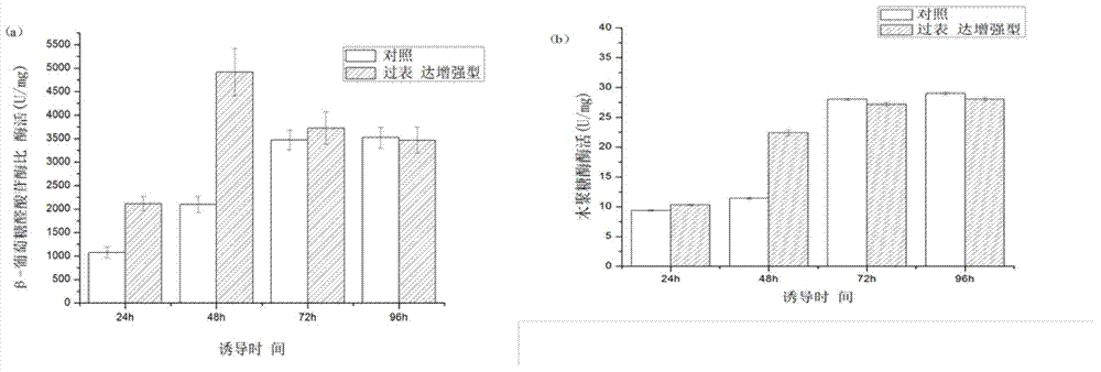 Method for improving expression quantity of pichia pastoris foreign protein by using mercaptan peroxidase