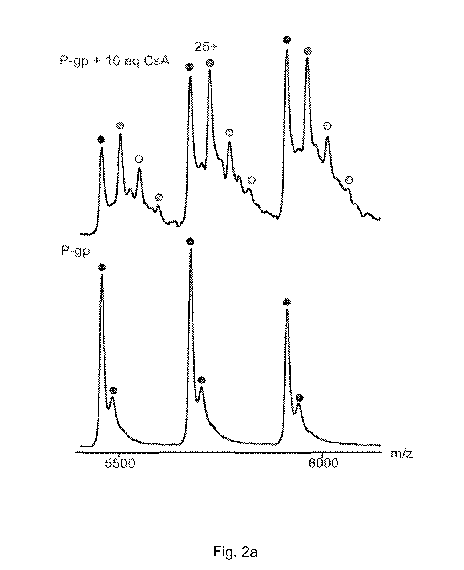 Detection of membrane protein-therapeutic agent complexes by mass spectrometry