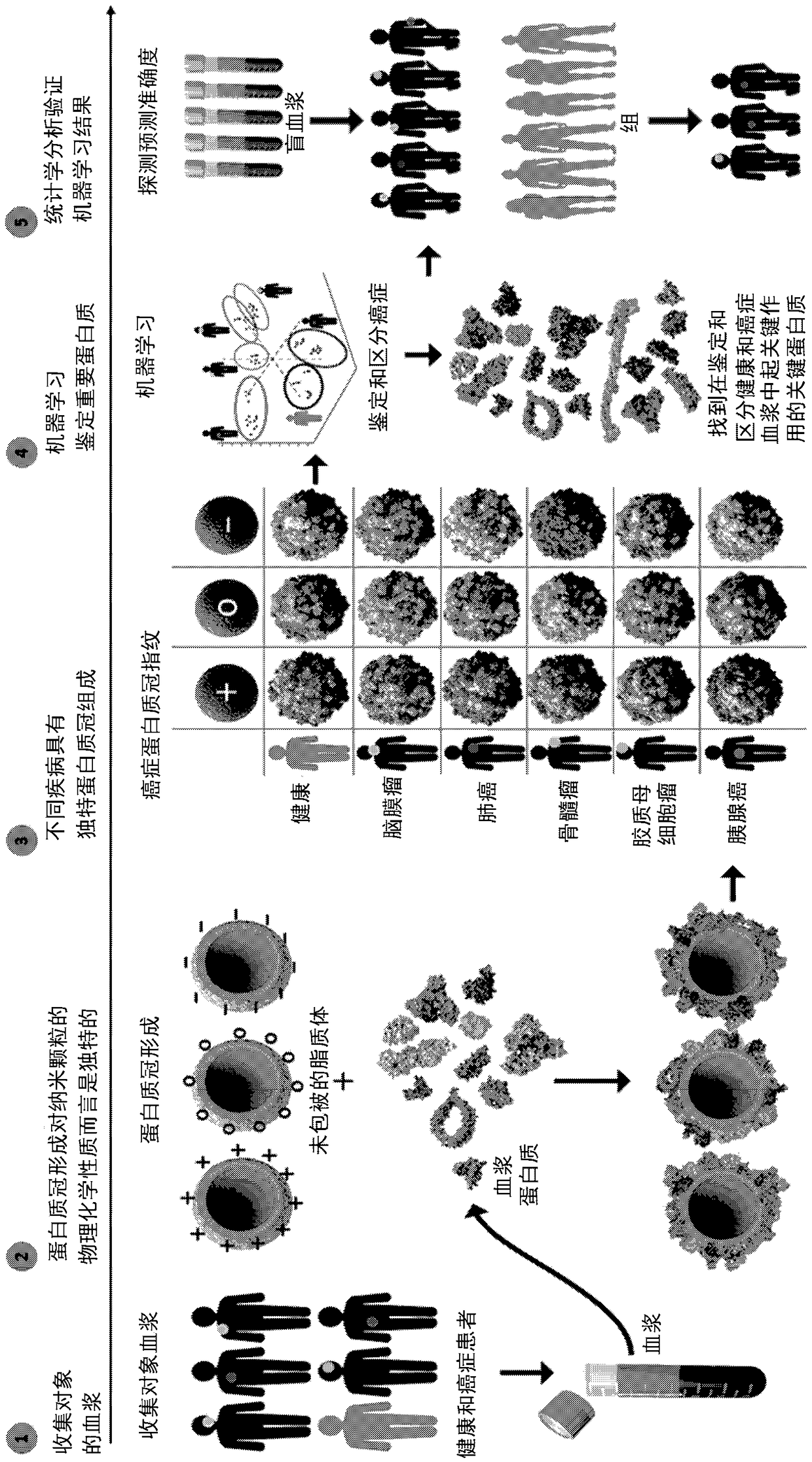 System and method for protein corona sensor array for early detection of diseases