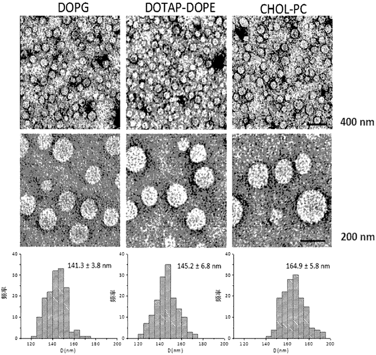 System and method for protein corona sensor array for early detection of diseases