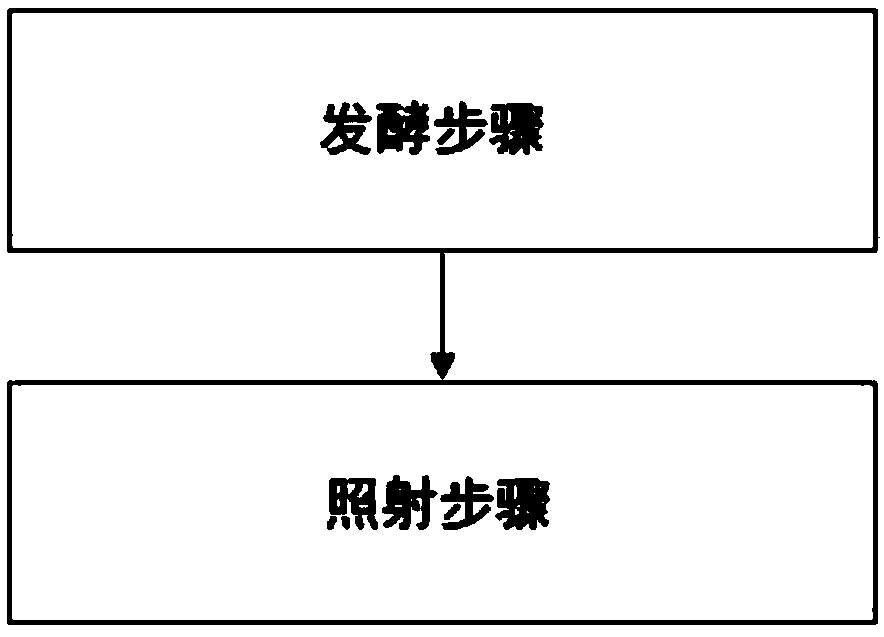 Method for increasing content of coumestrol of germinated and fermented beans by using light emitting diodes, and germinated and fermented beans produced thereby