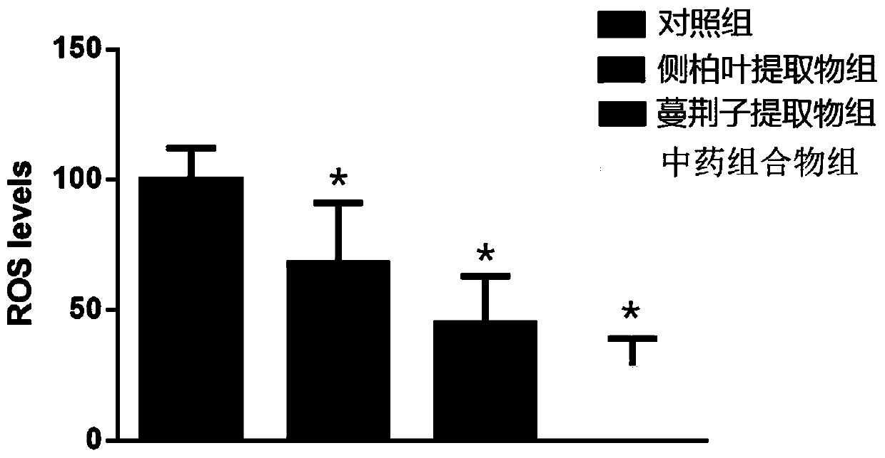 Traditional Chinese medicine composition with micro-organism-inhibiting, itching-relieving and oxidation-preventing effects