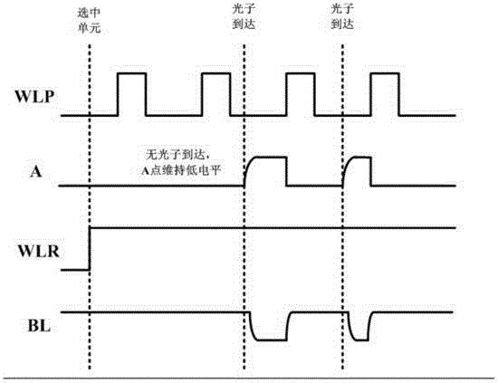 Quenching and readout circuits for single photon avalanche diodes