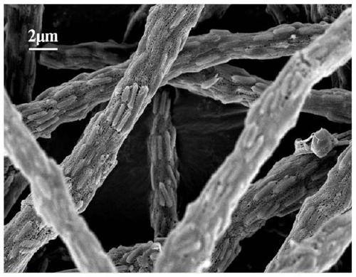 Preparation method of iron oxide/carbon fiber composite lithium ion battery negative electrode material