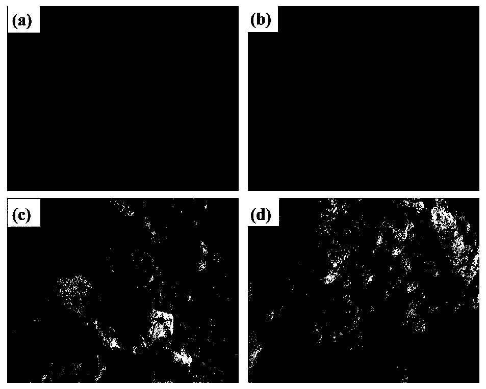 Type I collagen modified porous titanium coat and making method thereof