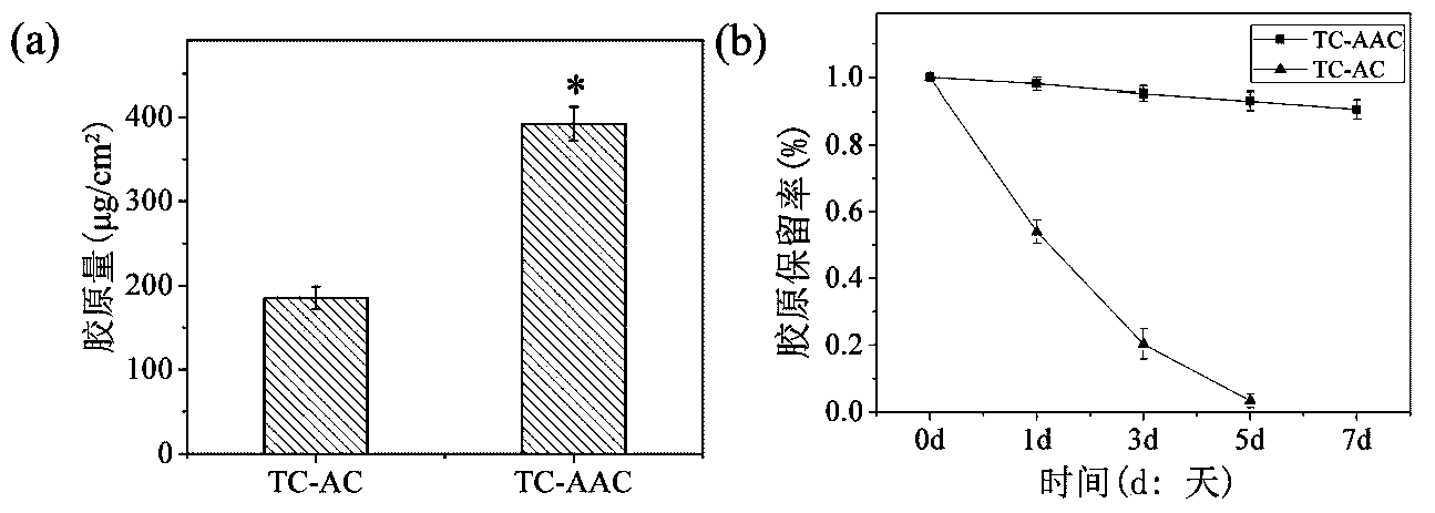 Type I collagen modified porous titanium coat and making method thereof