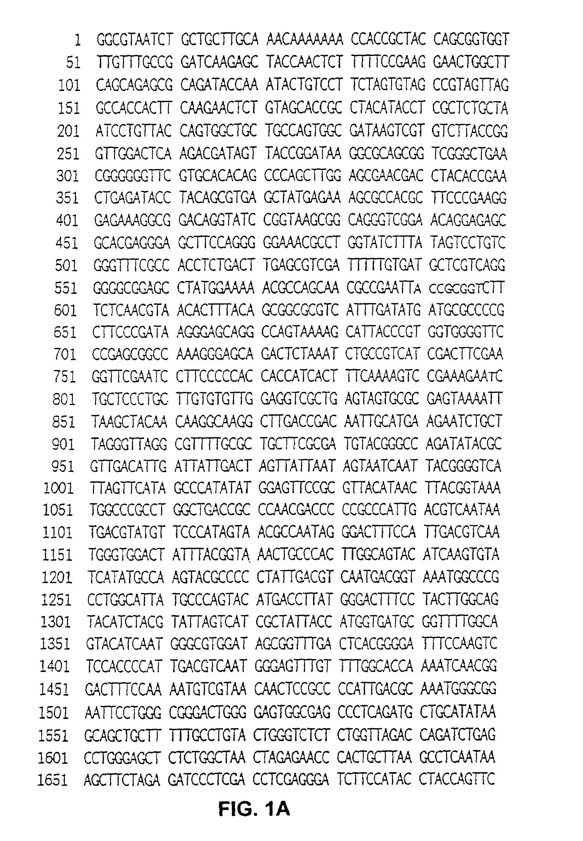 Rapid immunoselection cloning method