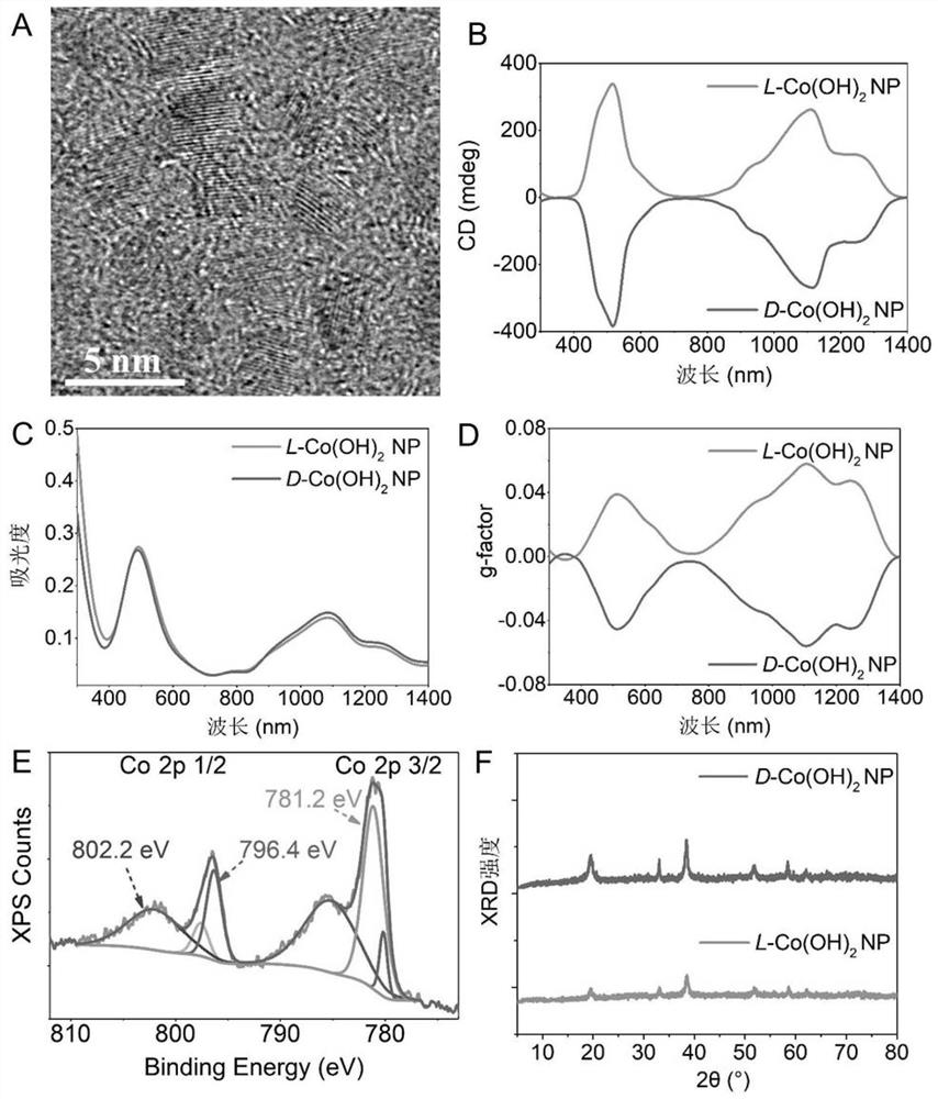 Chiral cobalt hydroxide nanoparticle, and preparation method and application thereof