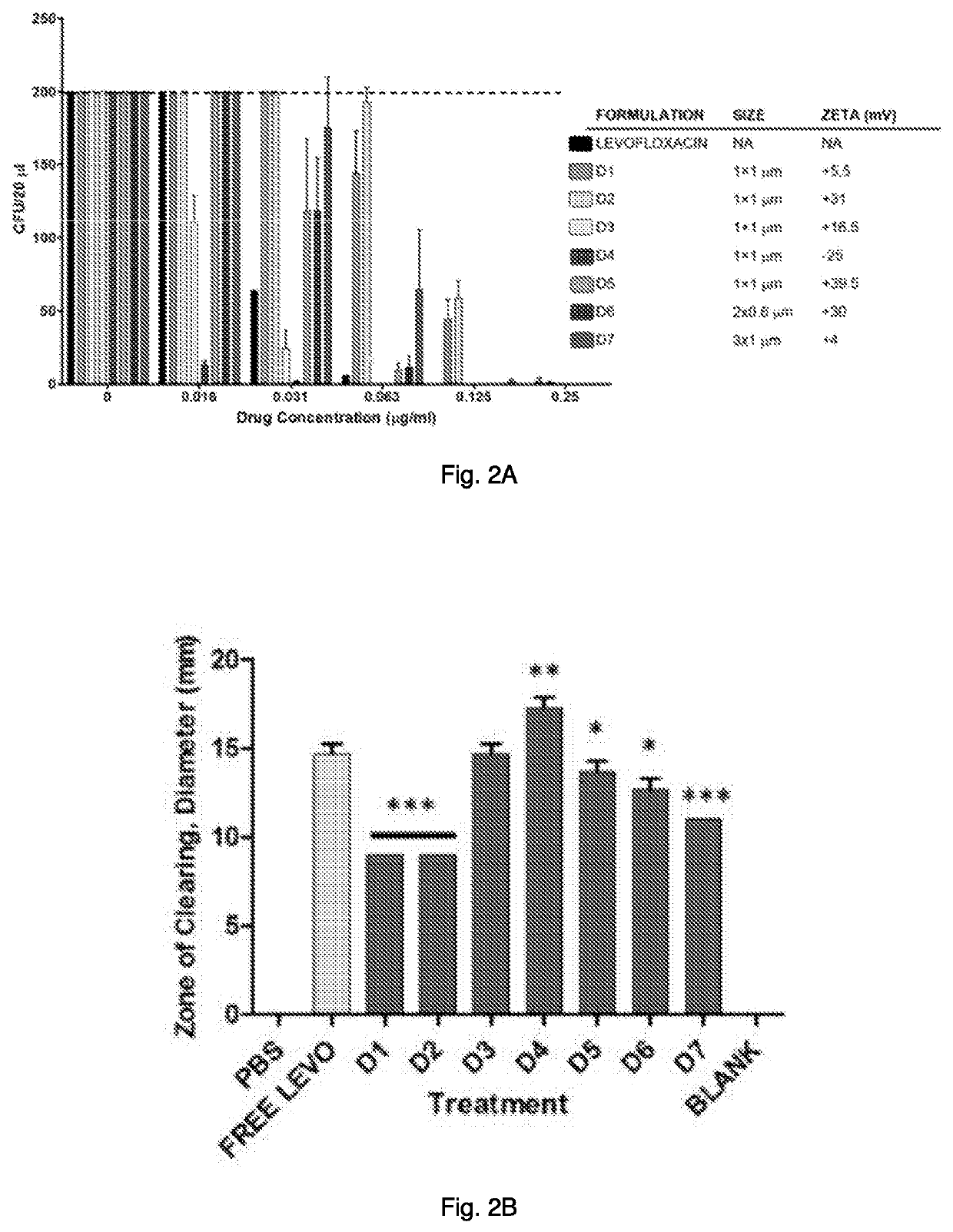 Engineered biocompatible antibiotic particles and their use against urinary tract infection