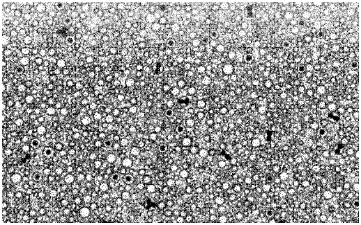 Molecular clone extracting and verifying method