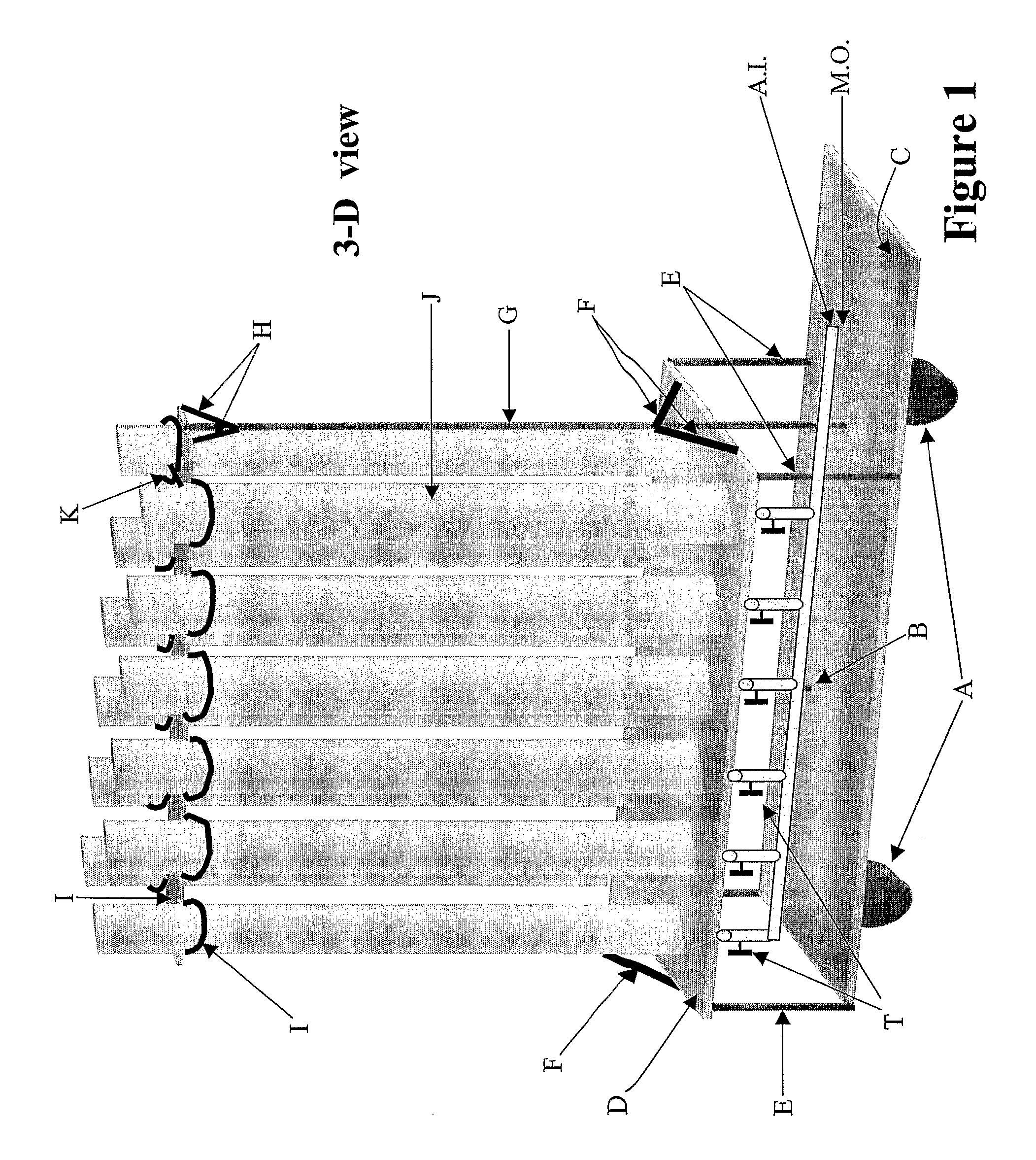 Colonies of nostoc commune, methods for cultivating edible nostoc commune and edible nostoc commune formulations and their use for promoting health