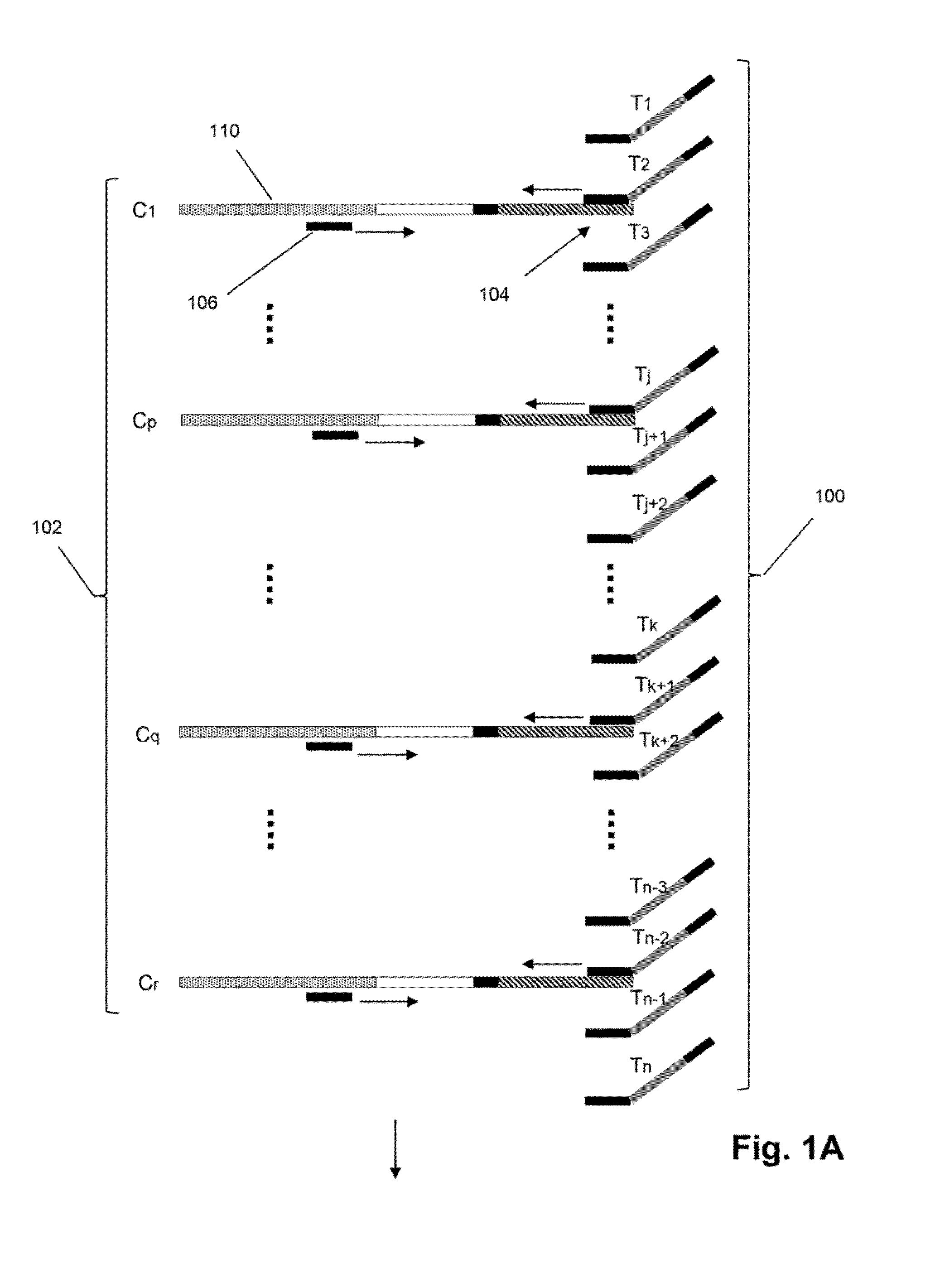 Method of sequence determination using sequence tags