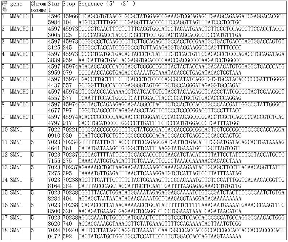 Probe composition and kit for screening genetic disease pathogenic gene carriers and preparation method of probe composition and kit