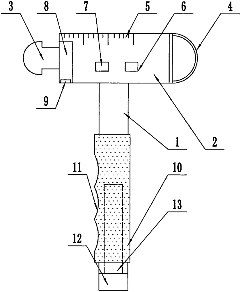 Neurology inspectoscope