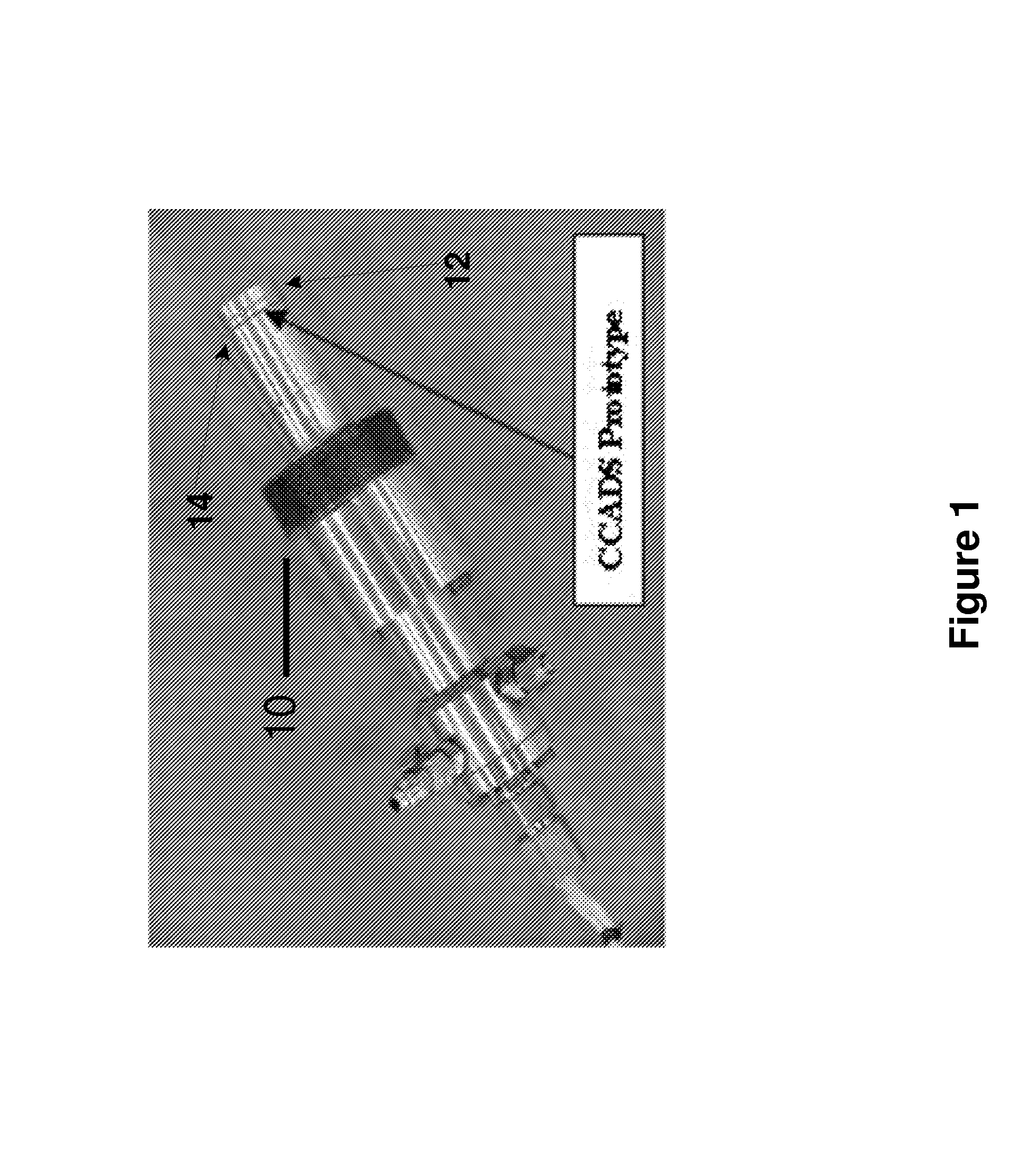 Time varying voltage combustion control and diagnostics sensor