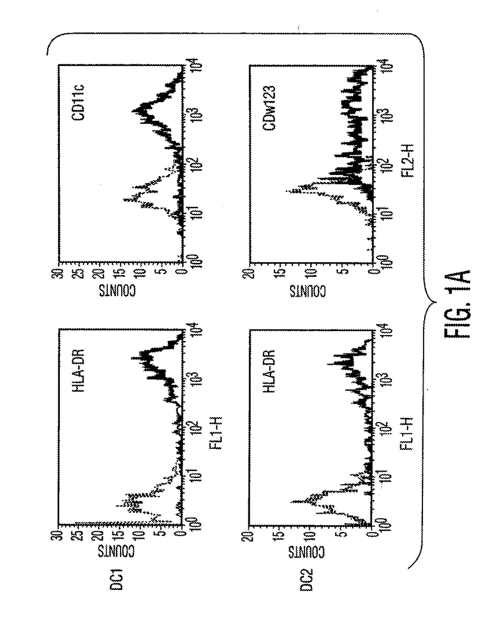 Mesenchymal Stem Cells and Uses Therefor