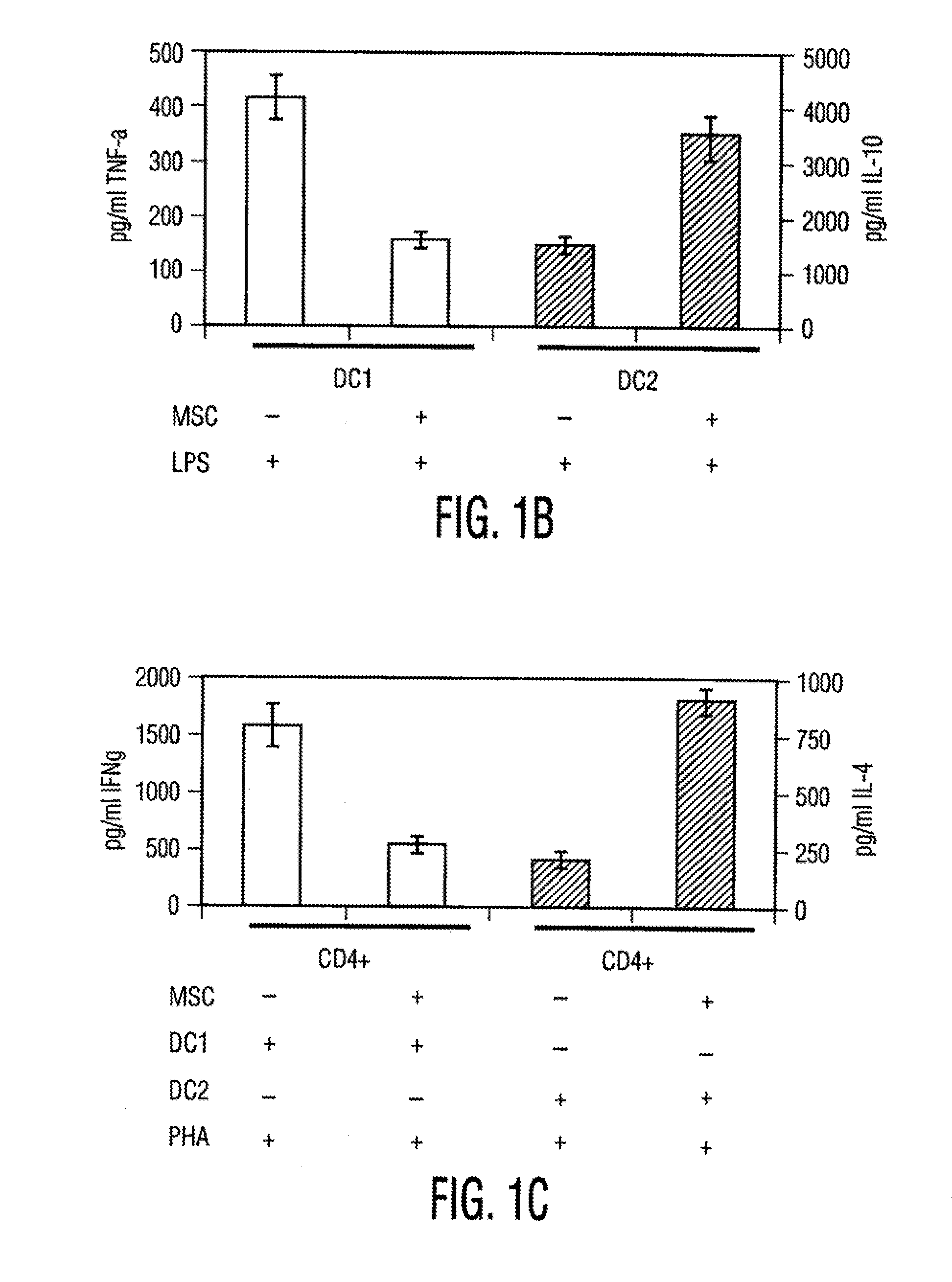 Mesenchymal Stem Cells and Uses Therefor