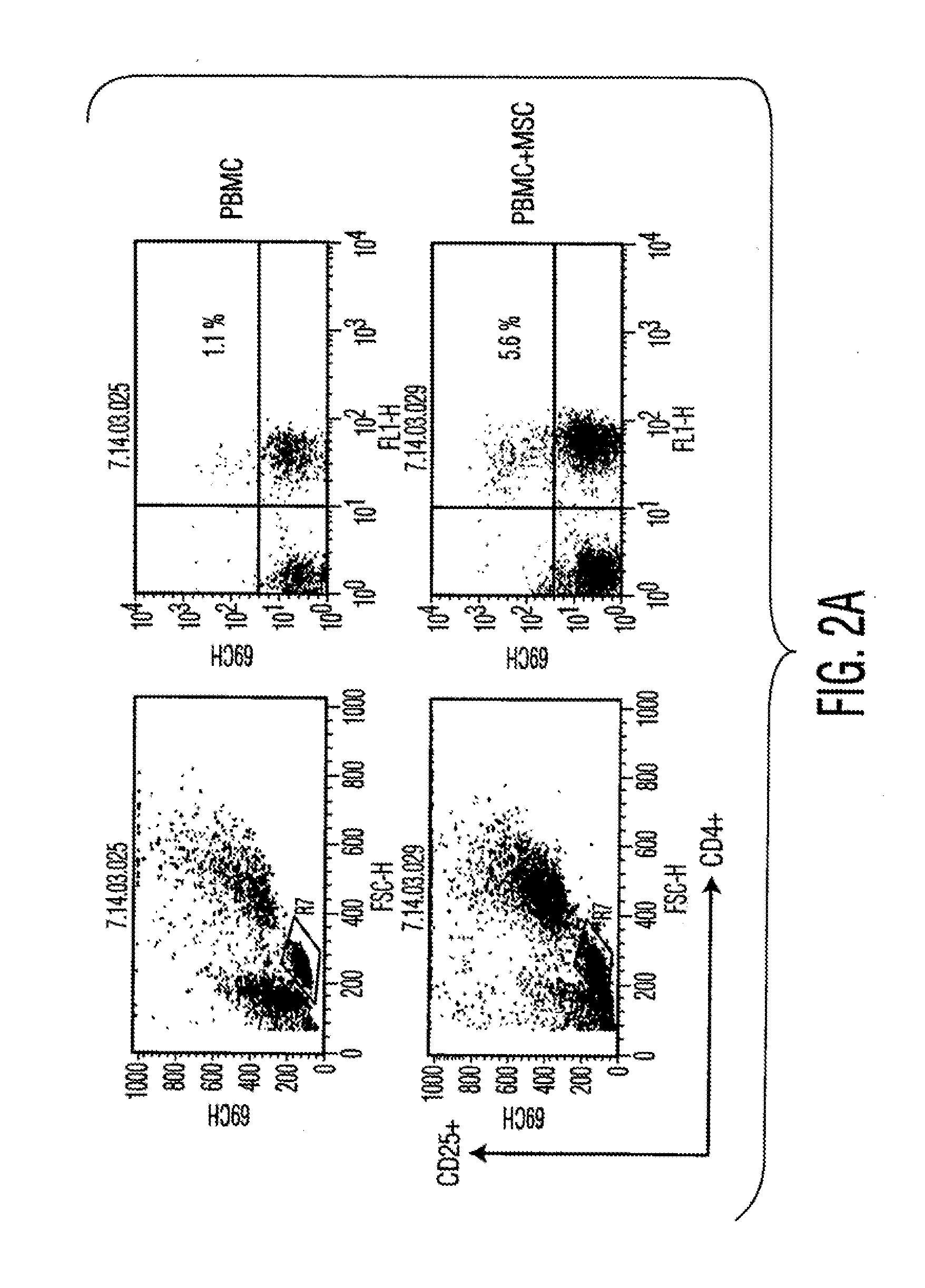 Mesenchymal Stem Cells and Uses Therefor