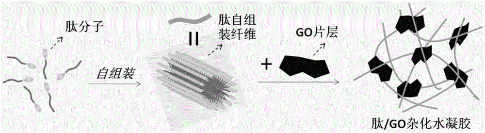 High-strength polypeptide hydrogel preparation method