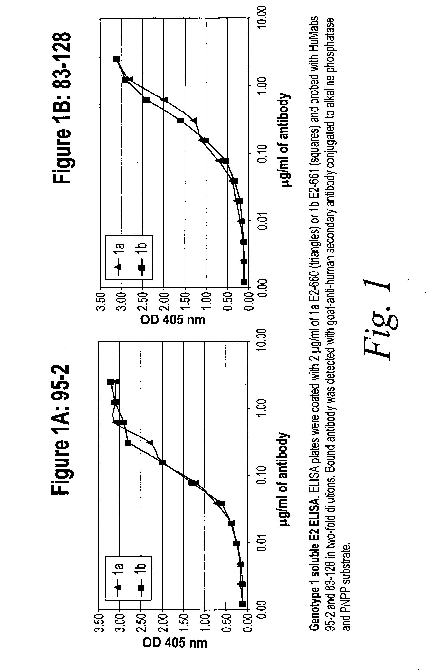 Human antibodies against hepatitis c virus (HCV) and uses thereof