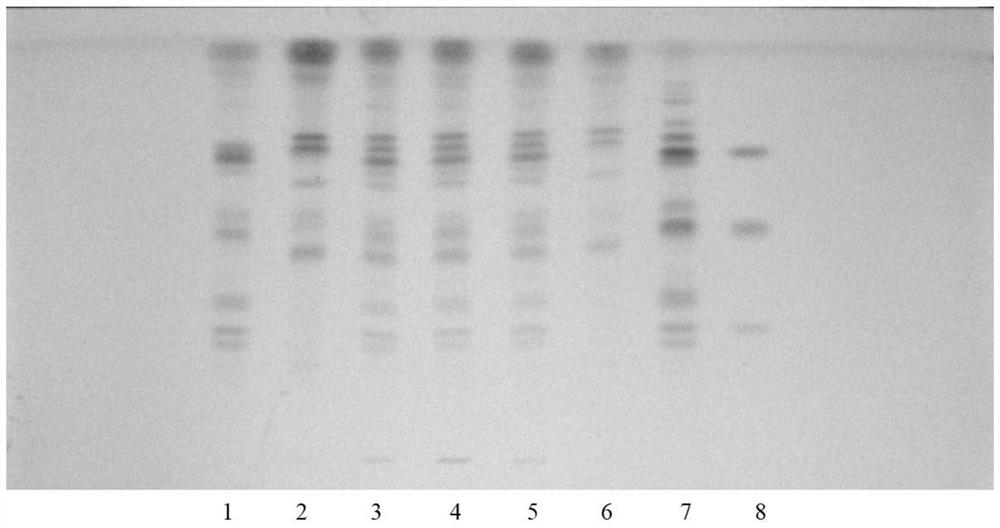 Establishment method of radix ophiopogonis decoction material reference