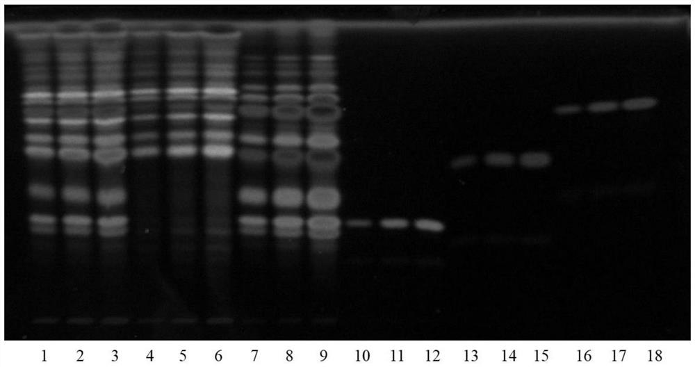 Establishment method of radix ophiopogonis decoction material reference