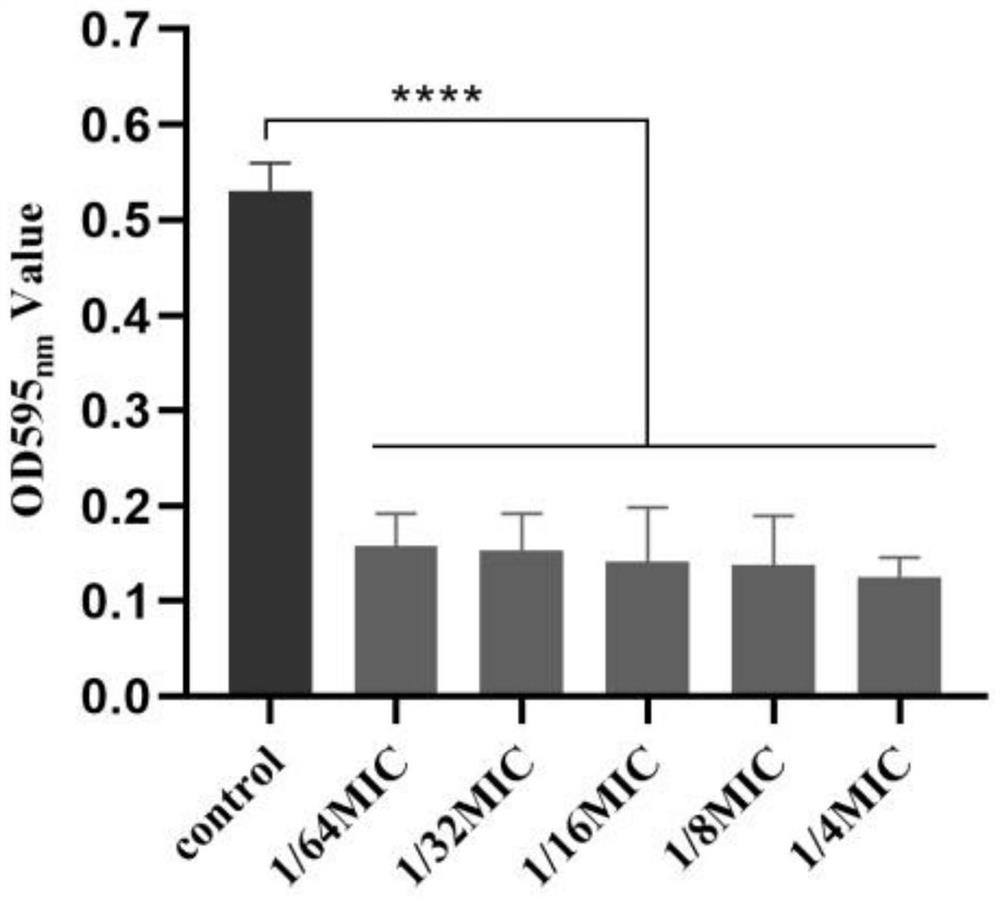 Application of epsilon-polylysine or hydrochloride thereof in preparation of medicine for inhibiting cronobacter spp or intervening cronobacter spp biofilm