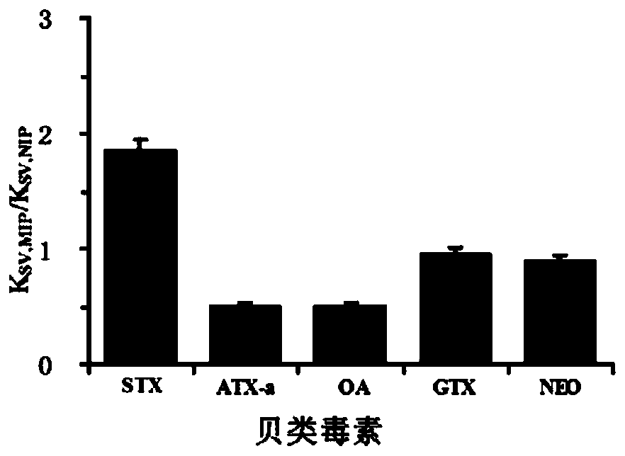 Preparation method and application of a saxitoxin molecularly imprinted nano-fluorescent material