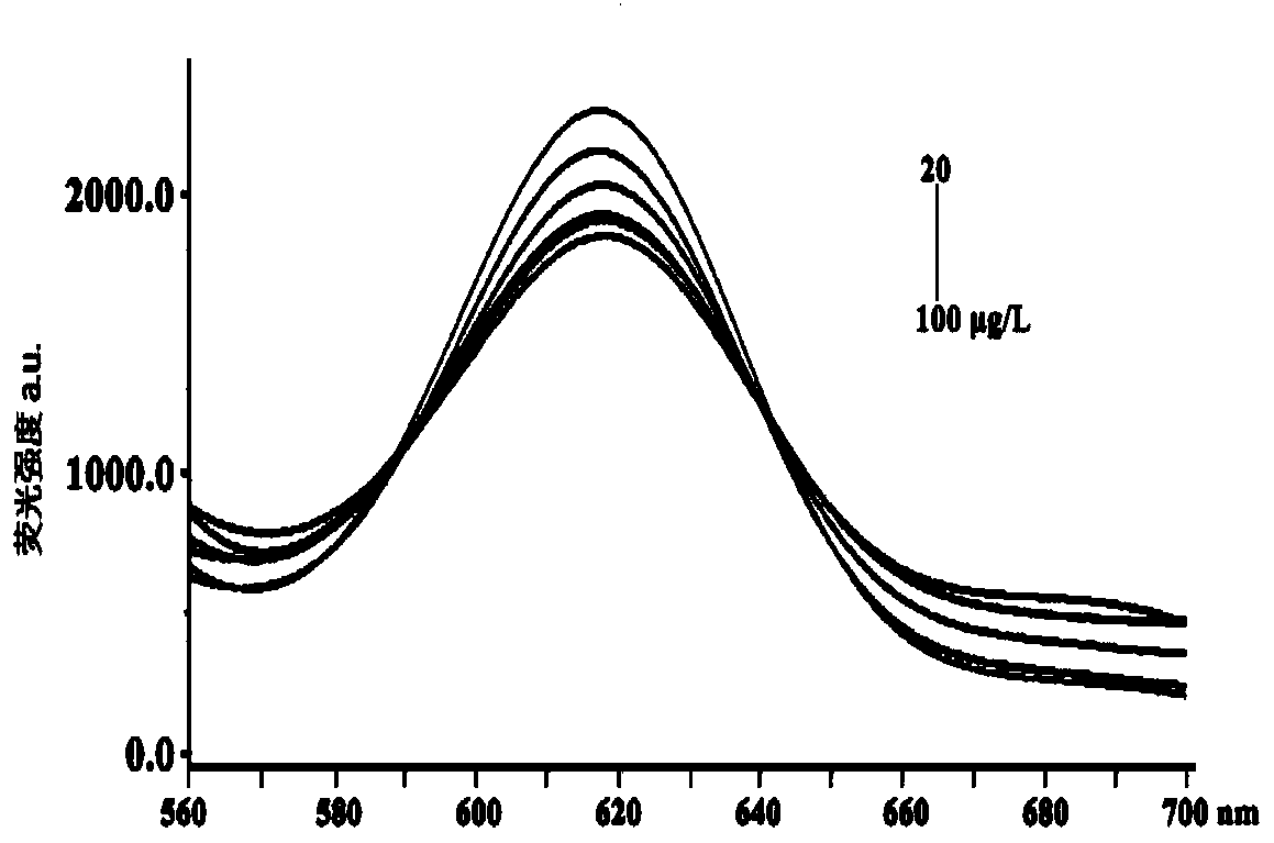 Preparation method and application of a saxitoxin molecularly imprinted nano-fluorescent material