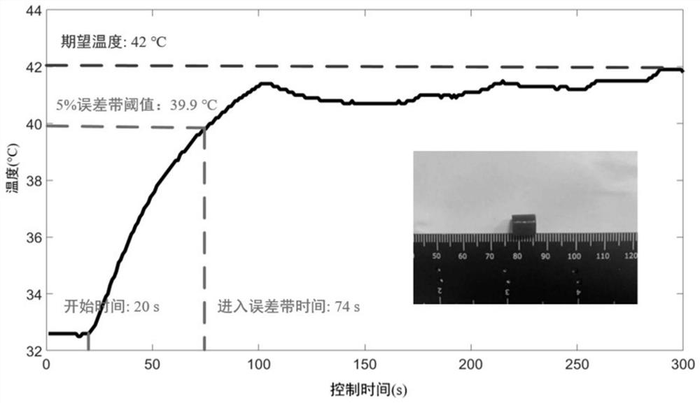 Temperature photoacoustic imaging and precise control method and system based on nano photothermal preparation