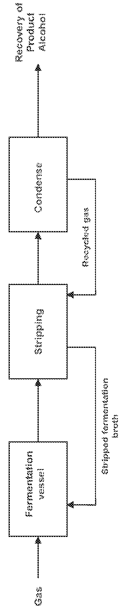 Process to remove product alcohols from fermentation broth