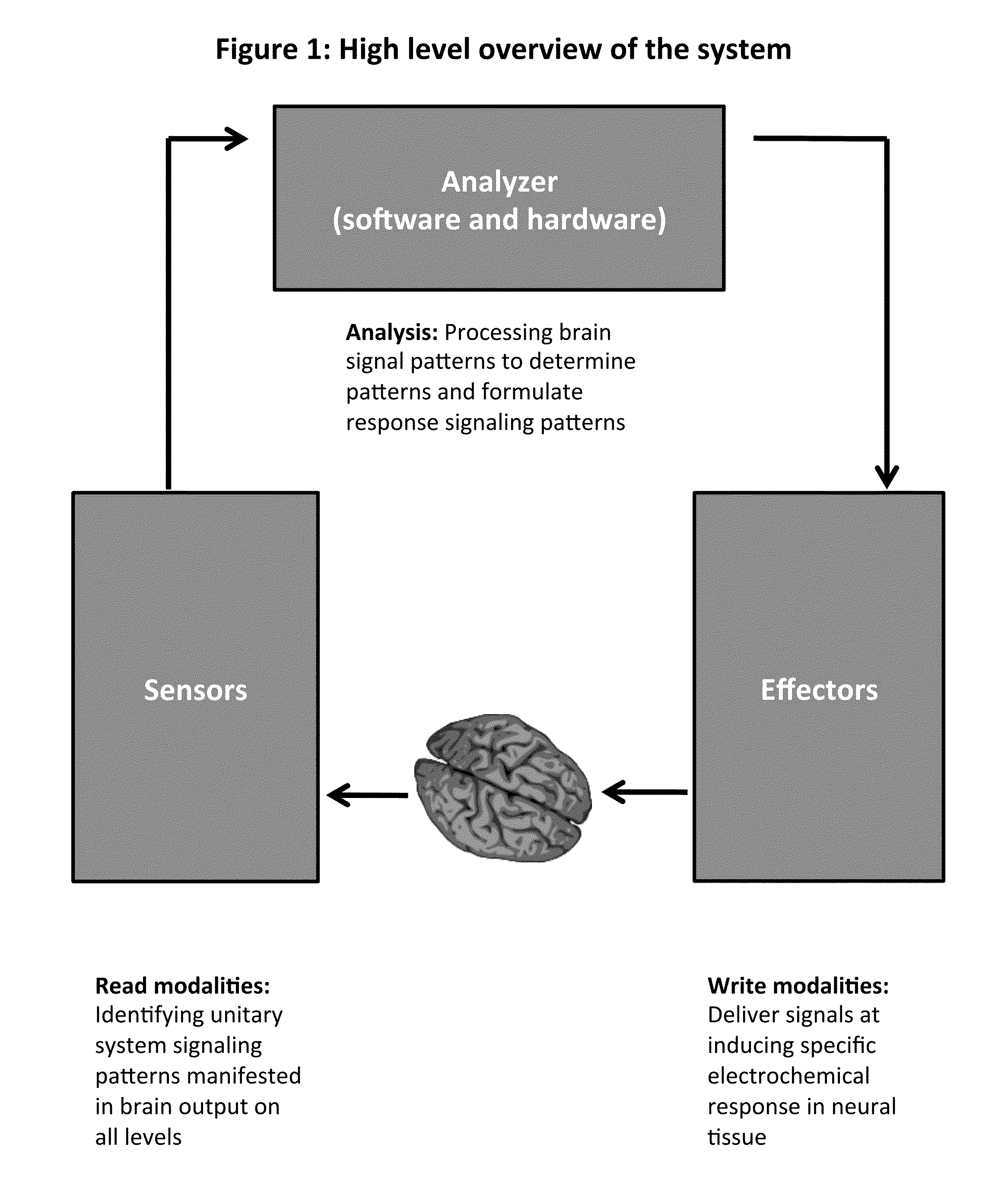 System, Method, and Applications of Using the Fundamental Code Unit and Brain Language