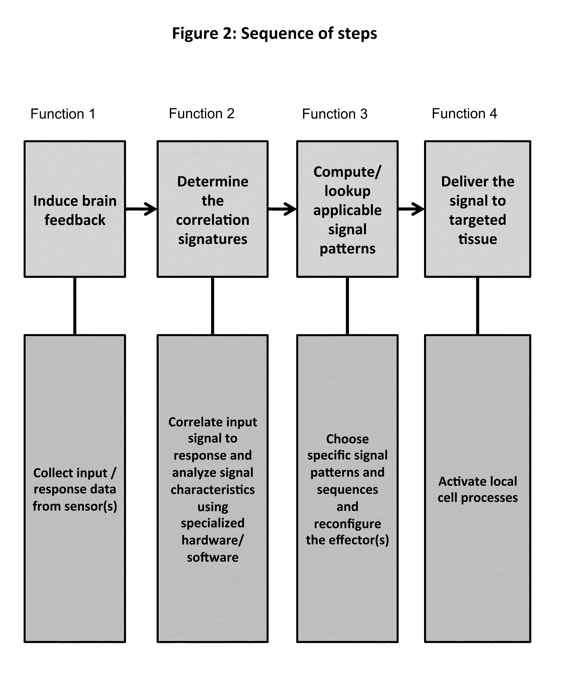 System, Method, and Applications of Using the Fundamental Code Unit and Brain Language