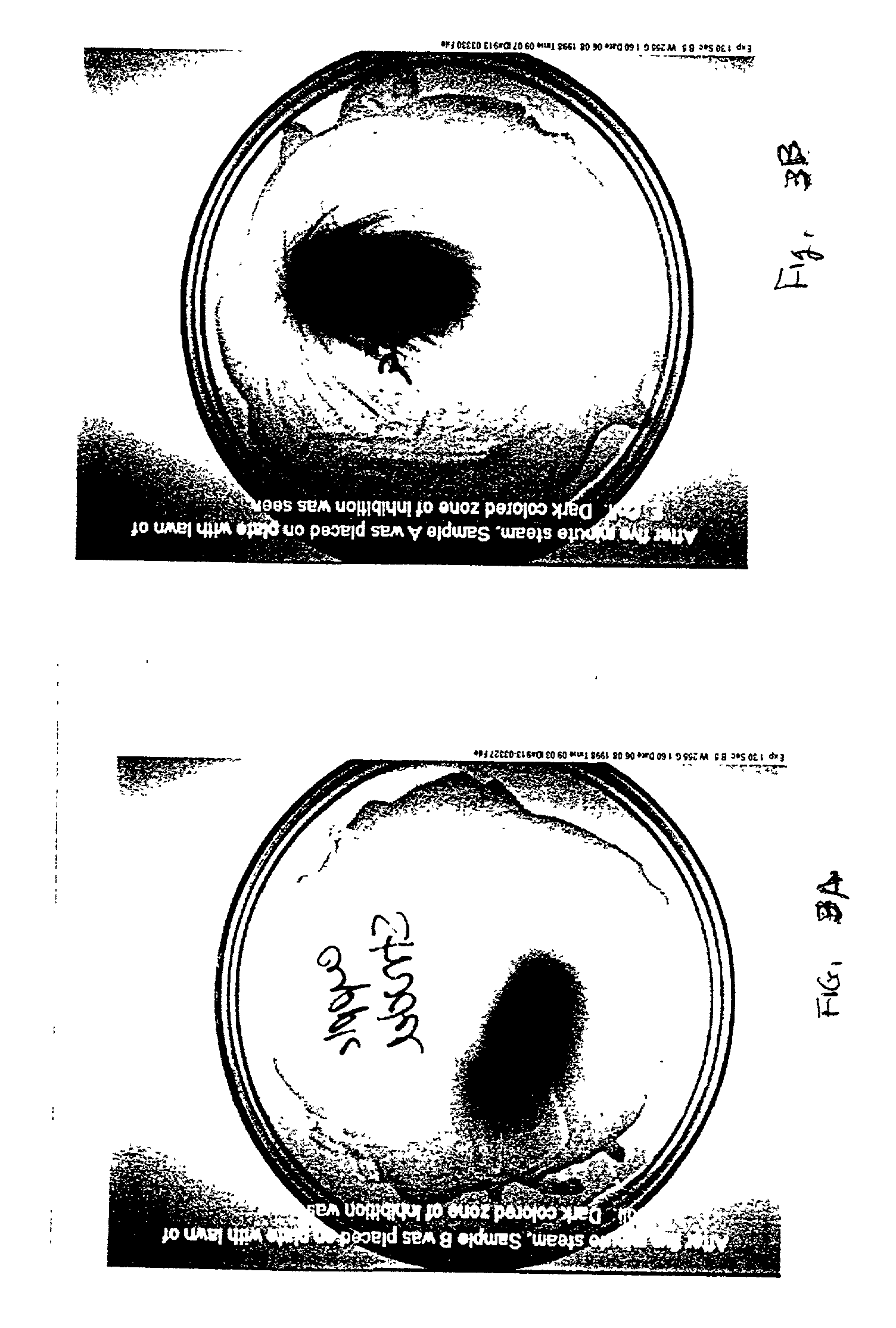 Antiseptic packaged polyvinylpyrrolidone-cinnamic alcohol solid products and the like and method of preparing the same