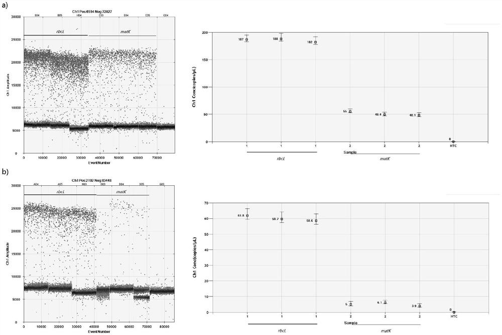 A method for extracting DNA from wood-targeted cells