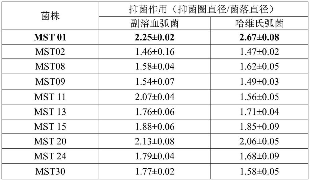 A strain of Saccharomyces cerevisiae and its application in aquaculture