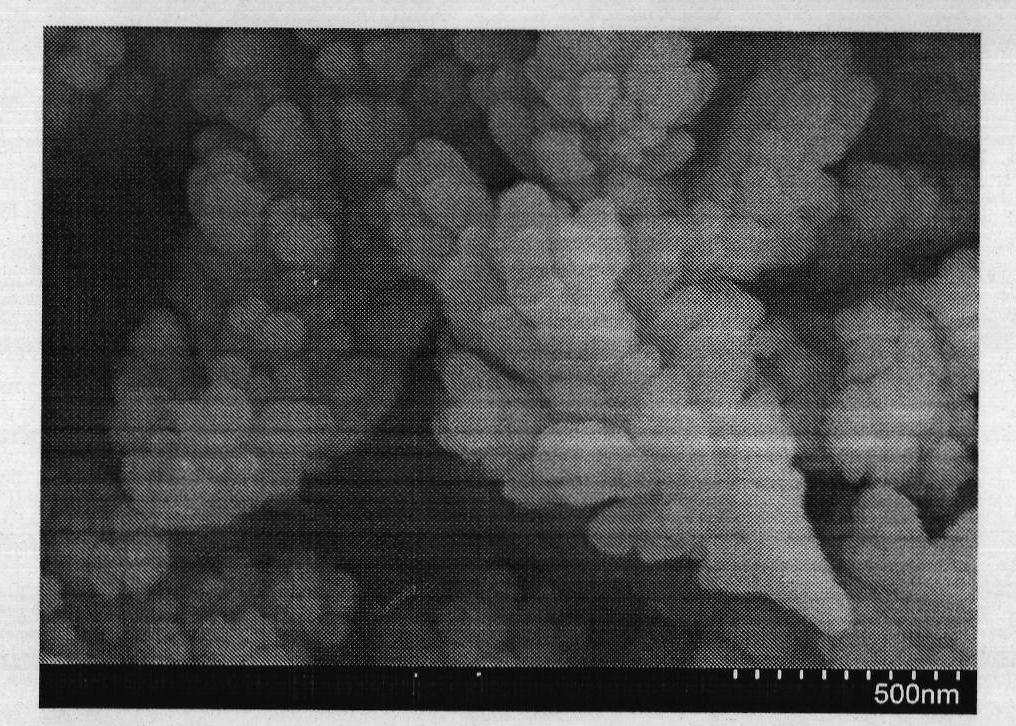 Three-dimensional Pt-Pb nano floricome type enzyme-free glucose sensor electrode as well as preparation and application thereof