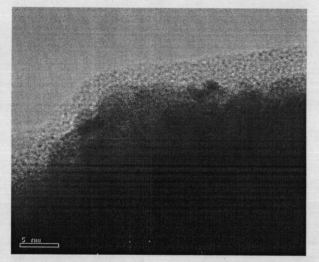 Three-dimensional Pt-Pb nano floricome type enzyme-free glucose sensor electrode as well as preparation and application thereof