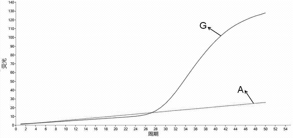 Quick detection kit for the CYP2C19*2 genetype and detection method thereof